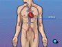 The vessels that supply the body with oxygen-rich blood are called arteries.